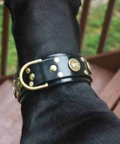 12 Gauge Collar