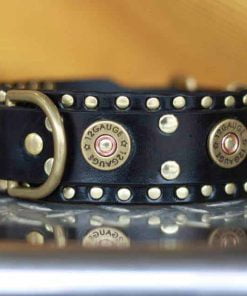 K-9 Gear