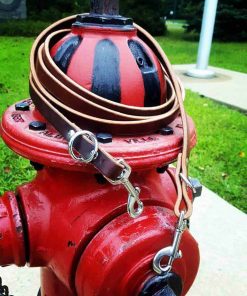 Jeager Leash