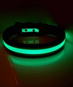 Alternative view of Glow in the Dark Collar
