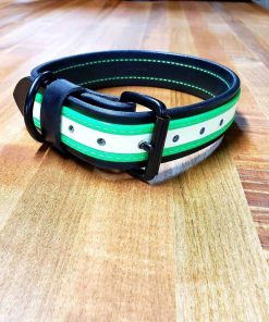 Glow in the Dark Collar