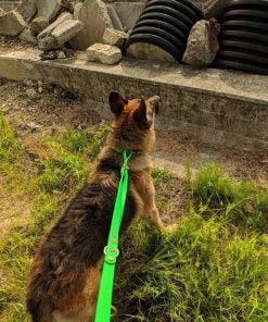 Alternative view of Bio-Jager Leash
